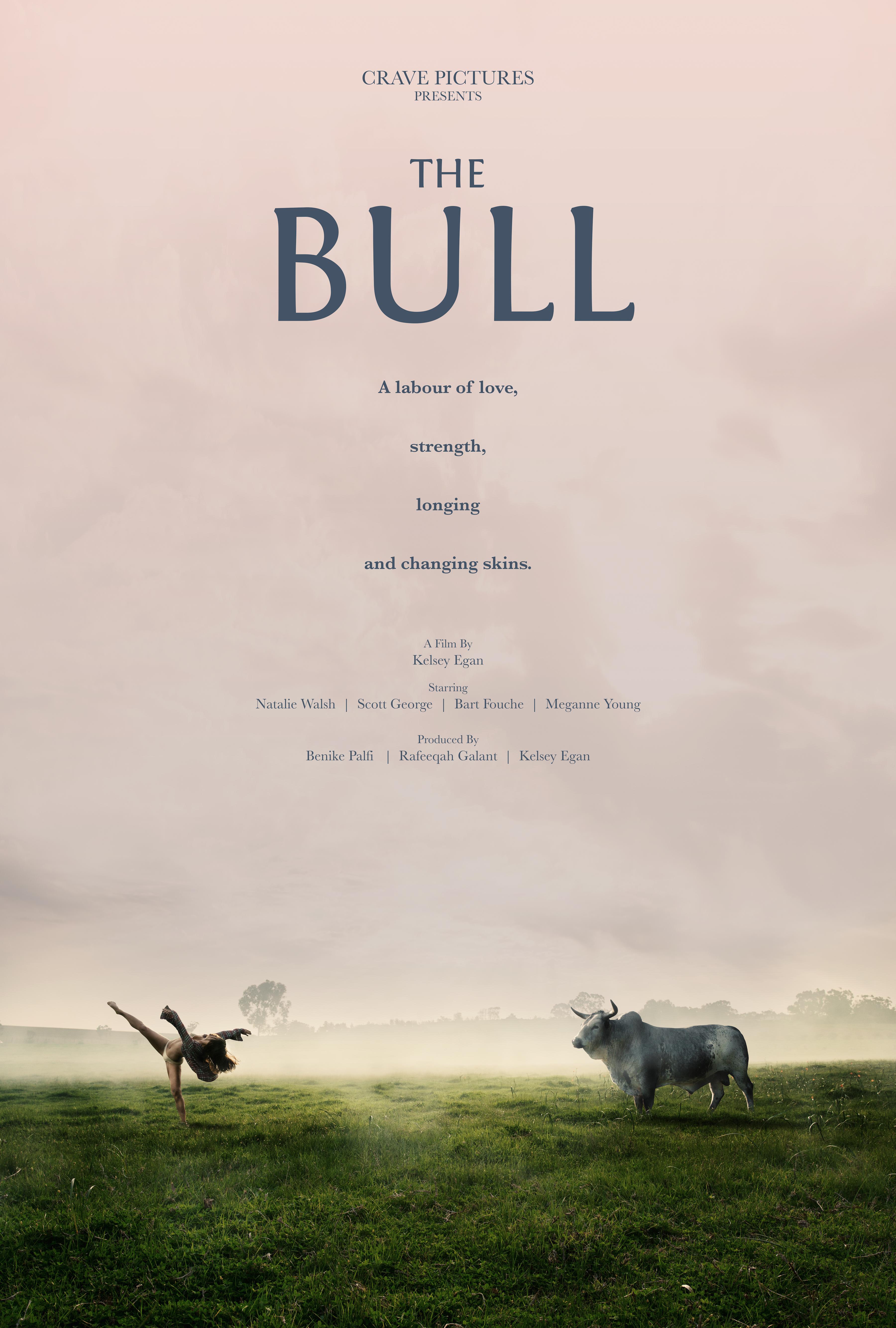 THE BULL<br>Writer / Director / Producer