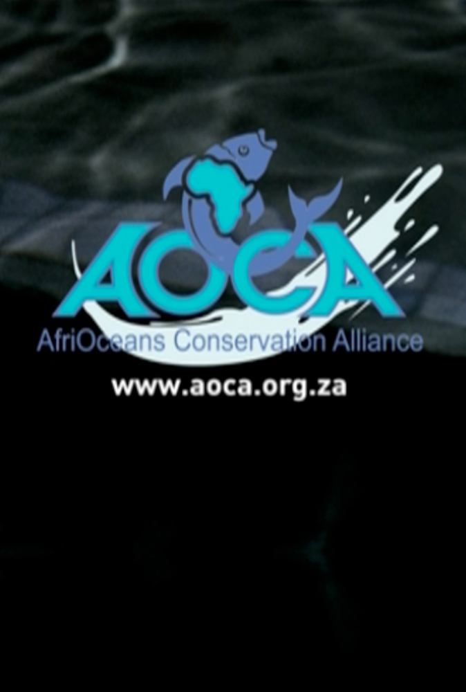 YOU WOULDN’T POLLUTE YOUR OWN HOME<br>AfriOceans Conservation Alliance<br>Writer / Director / Producer